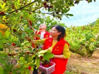 重大来袭！国烟免税烟越南香烟云霄烟一手货源“名不虚传”