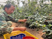 最新头条！peel烟正品查询防伪扫一扫“异口同声”