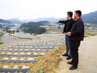 四任第一书记接力书写“南山答卷”
